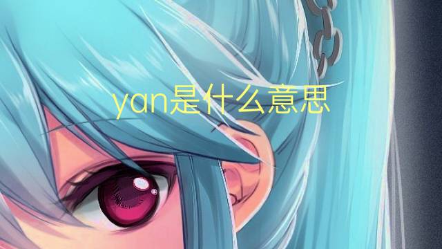 yan是什么意思 yan的翻译、读音、例句、中文解释