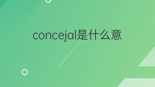 concejal是什么意思 concejal的翻译、读音、例句、中文解释