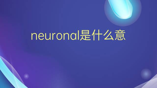 neuronal是什么意思 neuronal的翻译、读音、例句、中文解释