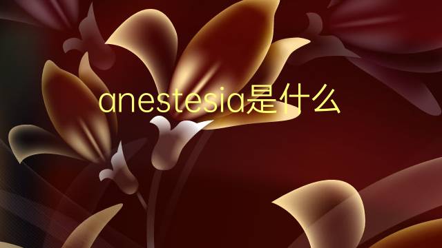 anestesia是什么意思 anestesia的翻译、读音、例句、中文解释