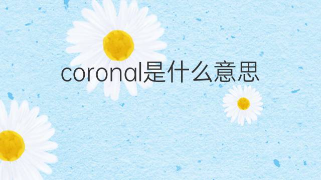 coronal是什么意思 coronal的翻译、读音、例句、中文解释