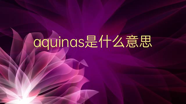 aquinas是什么意思 aquinas的翻译、读音、例句、中文解释