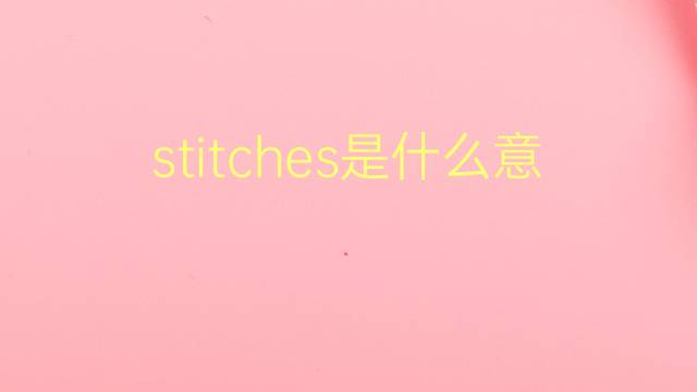 stitches是什么意思 stitches的翻译、读音、例句、中文解释