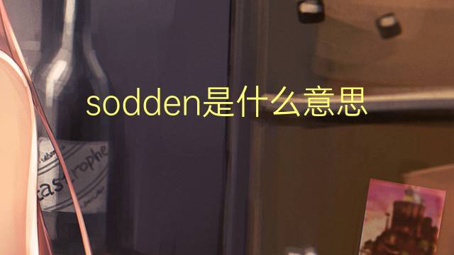 sodden是什么意思 sodden的翻译、读音、例句、中文解释