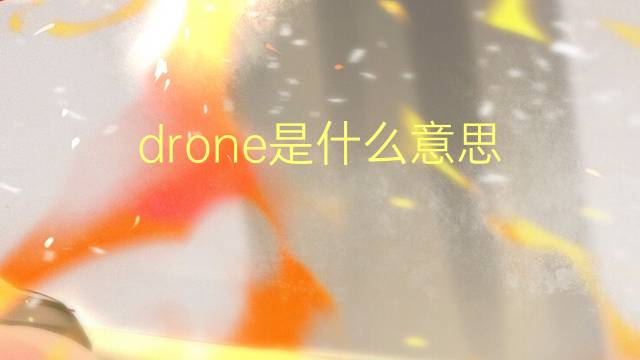 drone是什么意思 drone的翻译、读音、例句、中文解释