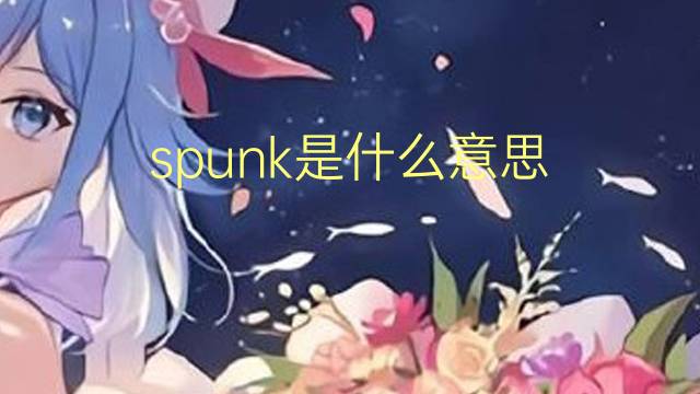 spunk是什么意思 spunk的翻译、读音、例句、中文解释