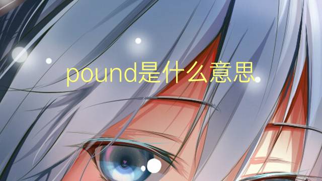 pound是什么意思 pound的翻译、读音、例句、中文解释