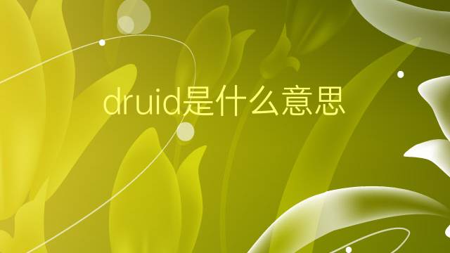 druid是什么意思 druid的翻译、读音、例句、中文解释