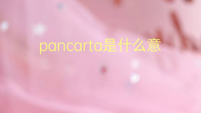 pancarta是什么意思 pancarta的翻译、读音、例句、中文解释