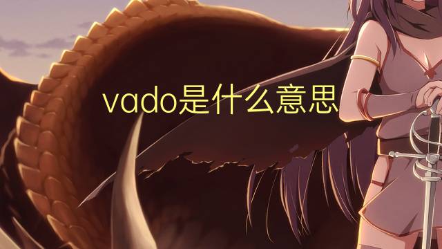 vado是什么意思 vado的翻译、读音、例句、中文解释