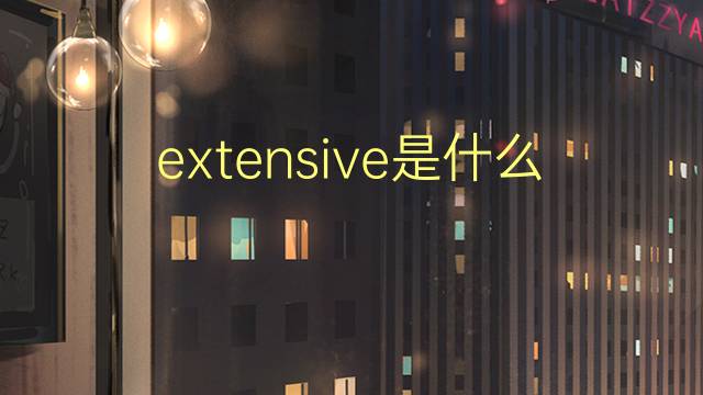 extensive是什么意思 extensive的翻译、读音、例句、中文解释