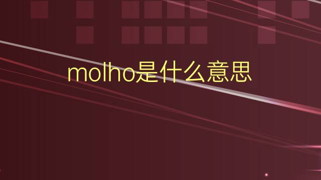 molho是什么意思 molho的翻译、读音、例句、中文解释