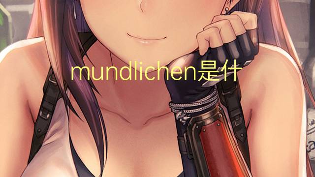 mundlichen是什么意思 mundlichen的翻译、读音、例句、中文解释