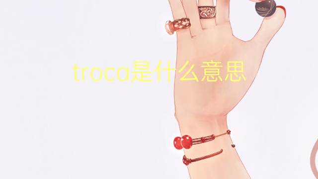 troca是什么意思 troca的翻译、读音、例句、中文解释