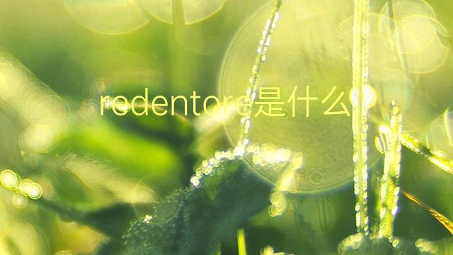 redentore是什么意思 redentore的翻译、读音、例句、中文解释