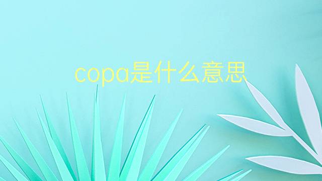 copa是什么意思 copa的翻译、读音、例句、中文解释