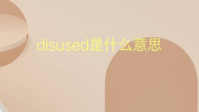 disused是什么意思 disused的翻译、读音、例句、中文解释