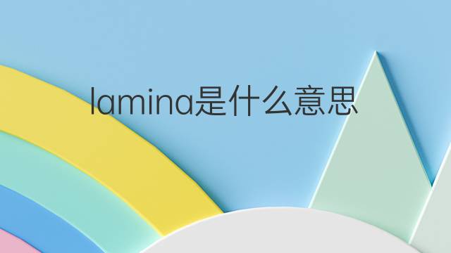 lamina是什么意思 lamina的翻译、读音、例句、中文解释