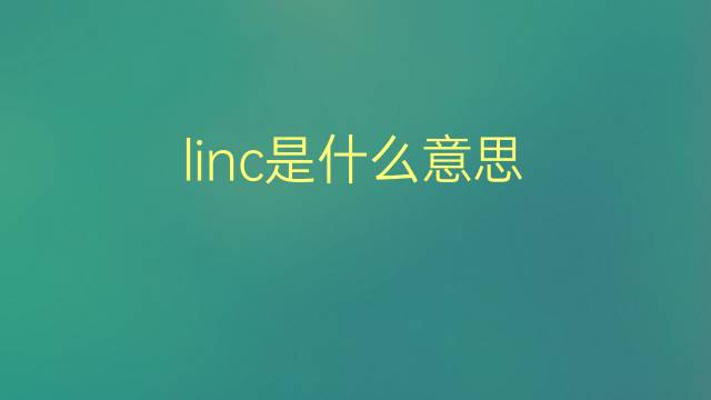 linc是什么意思 linc的翻译、读音、例句、中文解释