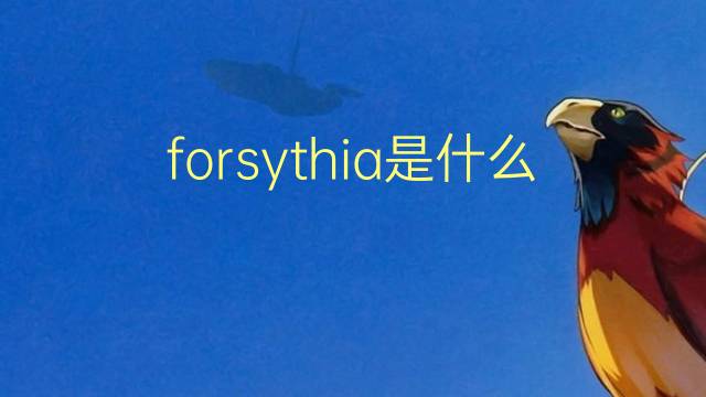 forsythia是什么意思 forsythia的翻译、读音、例句、中文解释