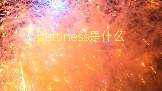 pettiness是什么意思 pettiness的翻译、读音、例句、中文解释