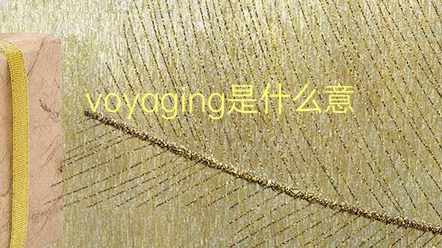 voyaging是什么意思 voyaging的翻译、读音、例句、中文解释