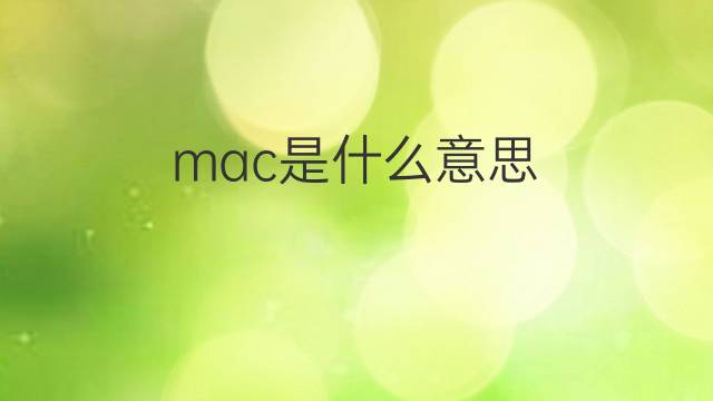 mac是什么意思 mac的翻译、读音、例句、中文解释