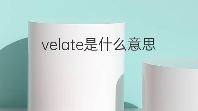 velate是什么意思 velate的翻译、读音、例句、中文解释