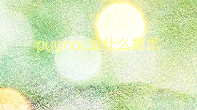 pugnac是什么意思 pugnac的翻译、读音、例句、中文解释