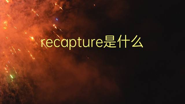 recapture是什么意思 recapture的翻译、读音、例句、中文解释