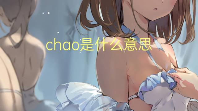 chao是什么意思 chao的翻译、读音、例句、中文解释