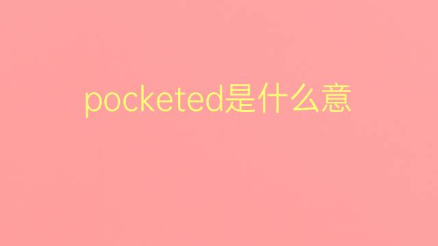 pocketed是什么意思 pocketed的翻译、读音、例句、中文解释