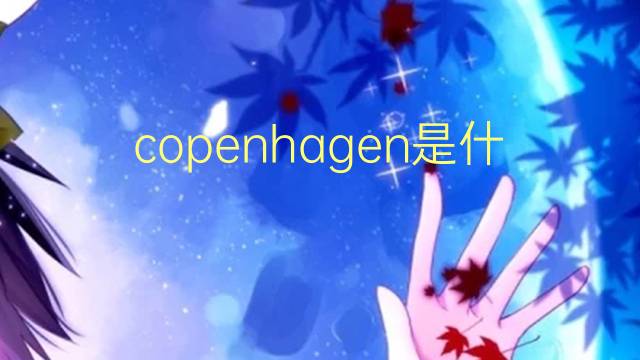 copenhagen是什么意思 copenhagen的翻译、读音、例句、中文解释