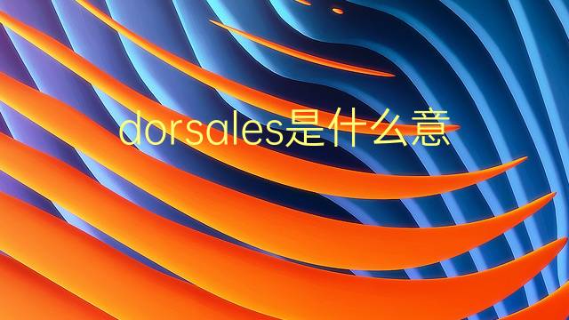 dorsales是什么意思 dorsales的翻译、读音、例句、中文解释