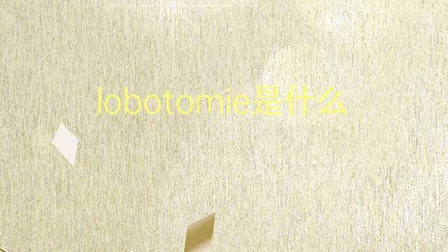 lobotomie是什么意思 lobotomie的翻译、读音、例句、中文解释