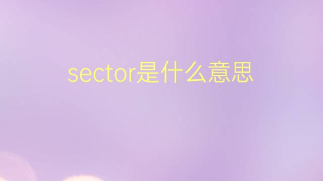 sector是什么意思 sector的翻译、读音、例句、中文解释