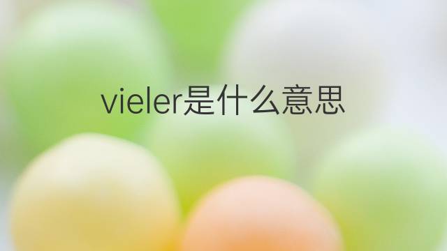 vieler是什么意思 vieler的翻译、读音、例句、中文解释