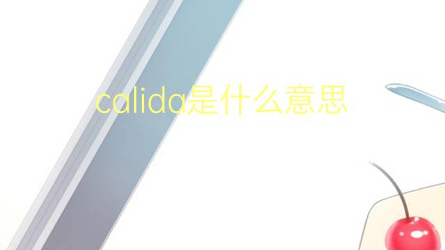 calida是什么意思 calida的翻译、读音、例句、中文解释