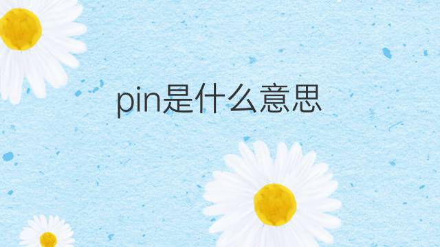 pin是什么意思 pin的翻译、读音、例句、中文解释