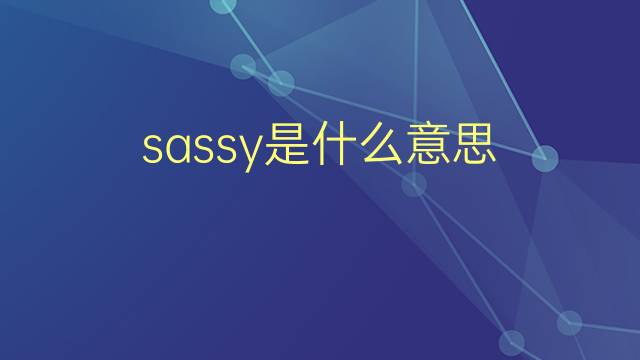 sassy是什么意思 sassy的翻译、读音、例句、中文解释