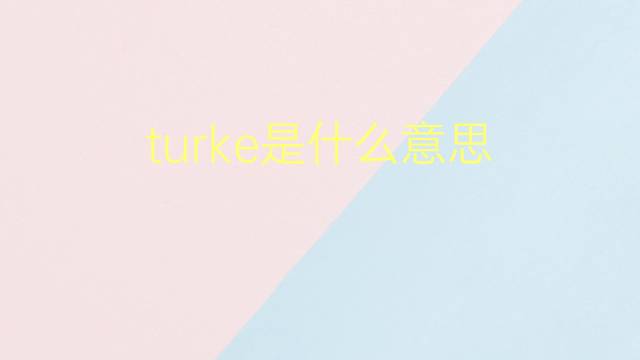 turke是什么意思 turke的翻译、读音、例句、中文解释