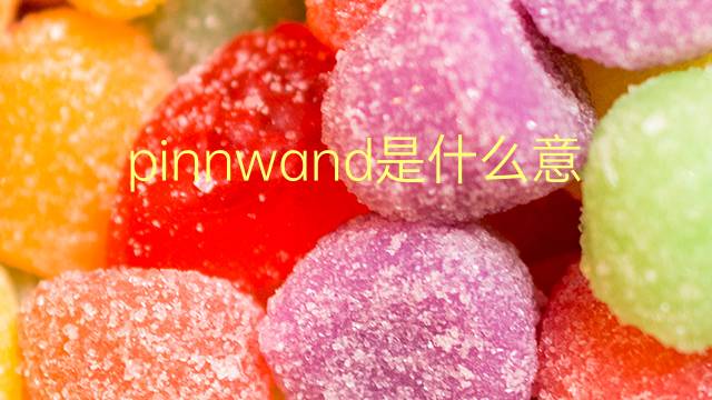 pinnwand是什么意思 pinnwand的翻译、读音、例句、中文解释