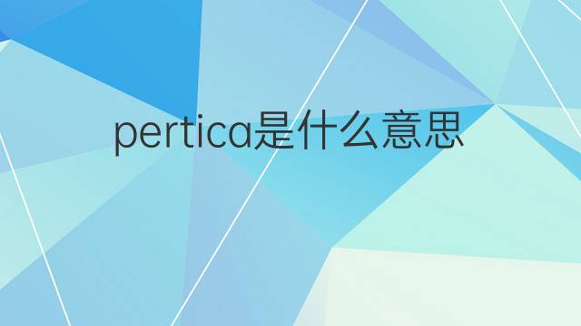 pertica是什么意思 pertica的翻译、读音、例句、中文解释