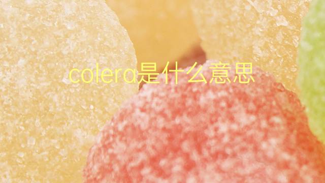 colera是什么意思 colera的翻译、读音、例句、中文解释