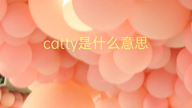 catty是什么意思 catty的翻译、读音、例句、中文解释