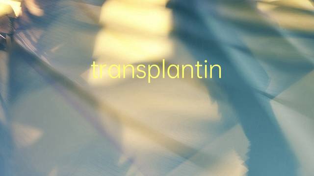 transplanting是什么意思 transplanting的翻译、读音、例句、中文解释