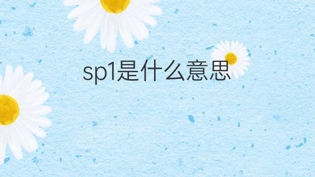 sp1是什么意思 sp1的翻译、读音、例句、中文解释