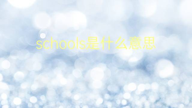 schools是什么意思 schools的翻译、读音、例句、中文解释