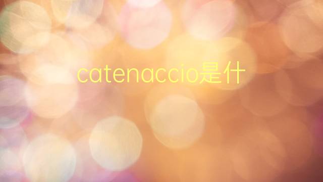 catenaccio是什么意思 catenaccio的翻译、读音、例句、中文解释