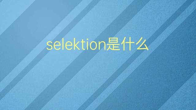 selektion是什么意思 selektion的翻译、读音、例句、中文解释